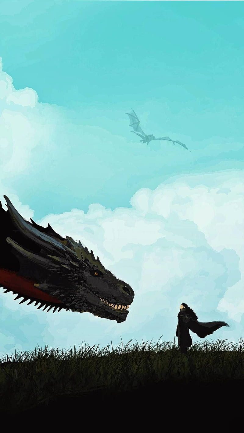 800x1422 Game of thrones, got, HD phone wallpaper
