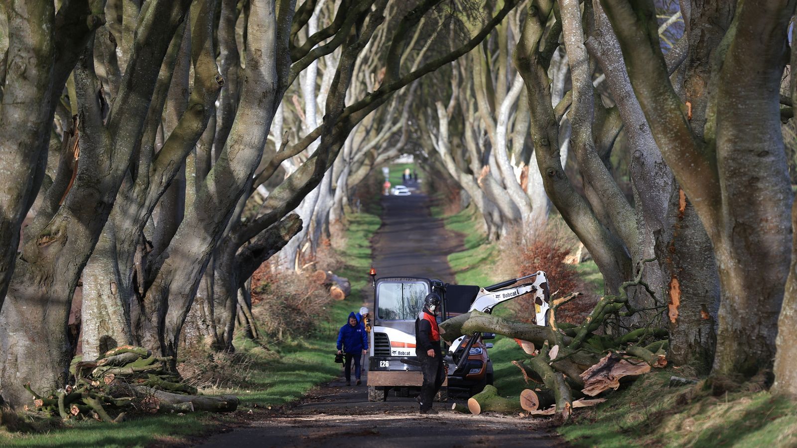 1600x900 Storm Isha brings down Dark Hedges trees made famous in Game Of Thrones