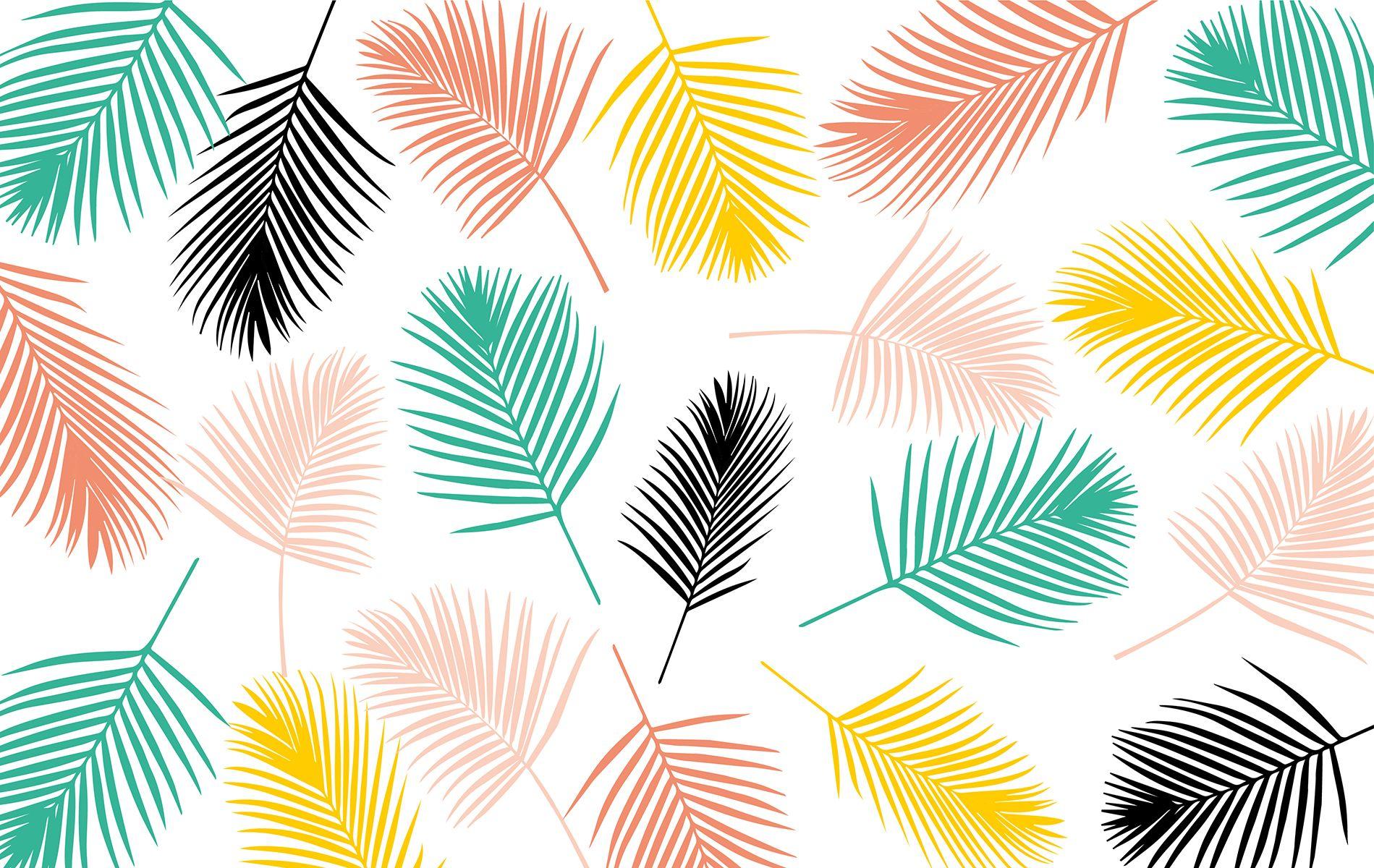 1899x1200 Tropical Desktop Wallpaper