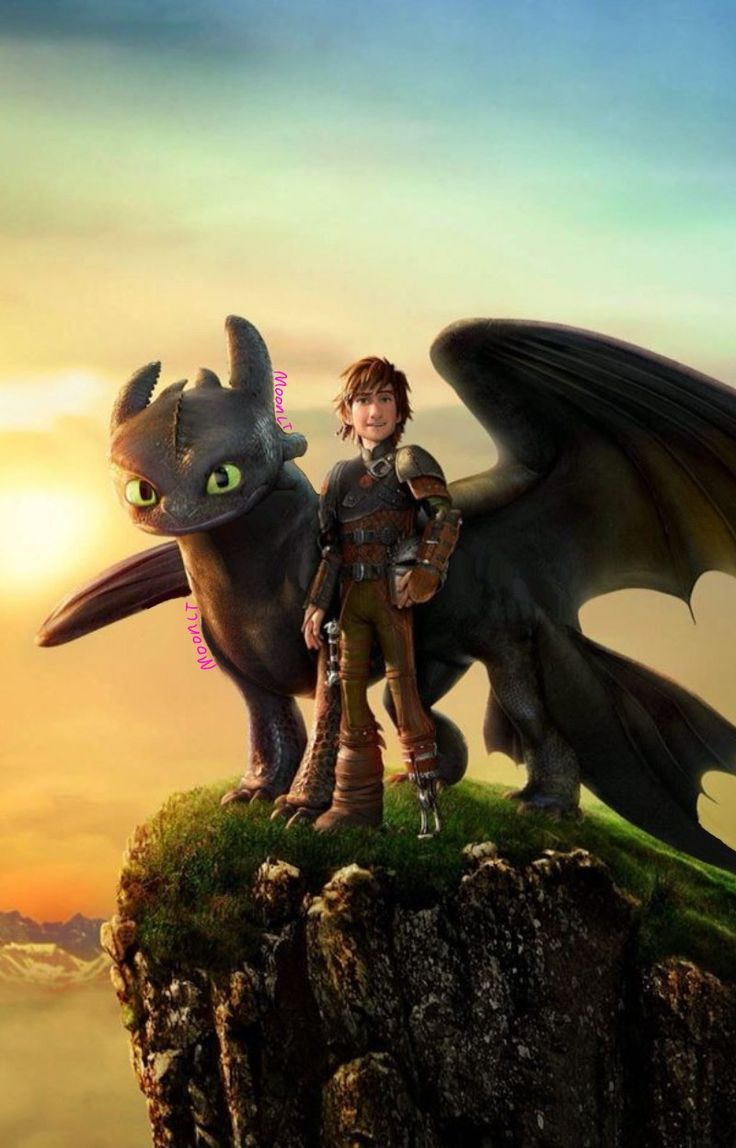 736x1148 How to train your dragon. Train a dragon, Dragons race to the edge