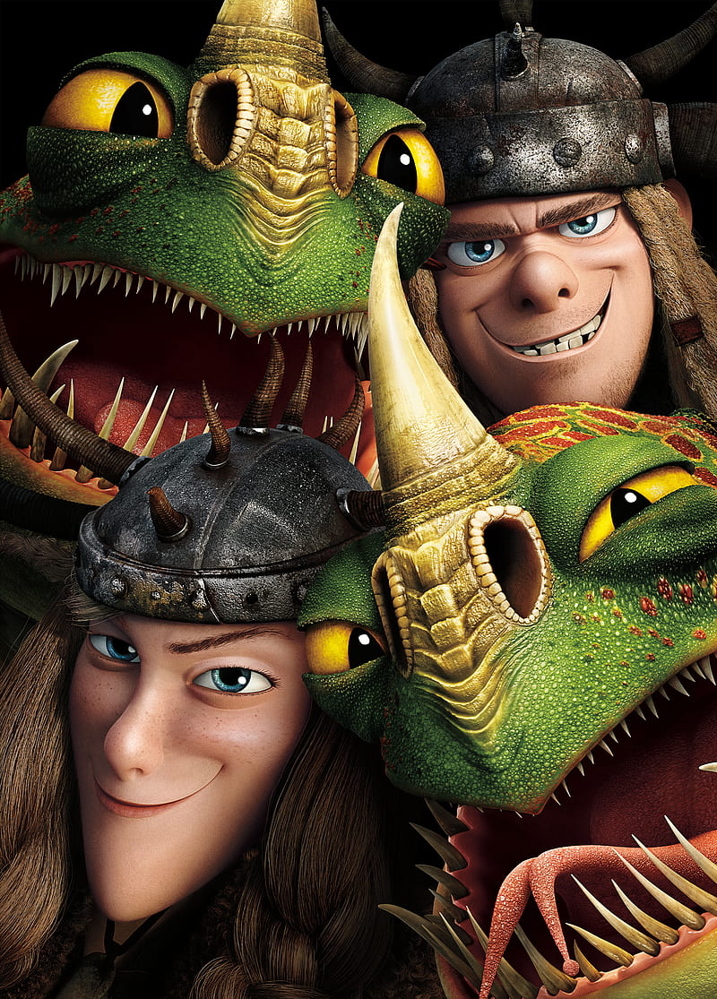 800x1115 Train Your Dragon, dragon how, how to train your dragon, movie, to, train, your, HD phone wallpaper