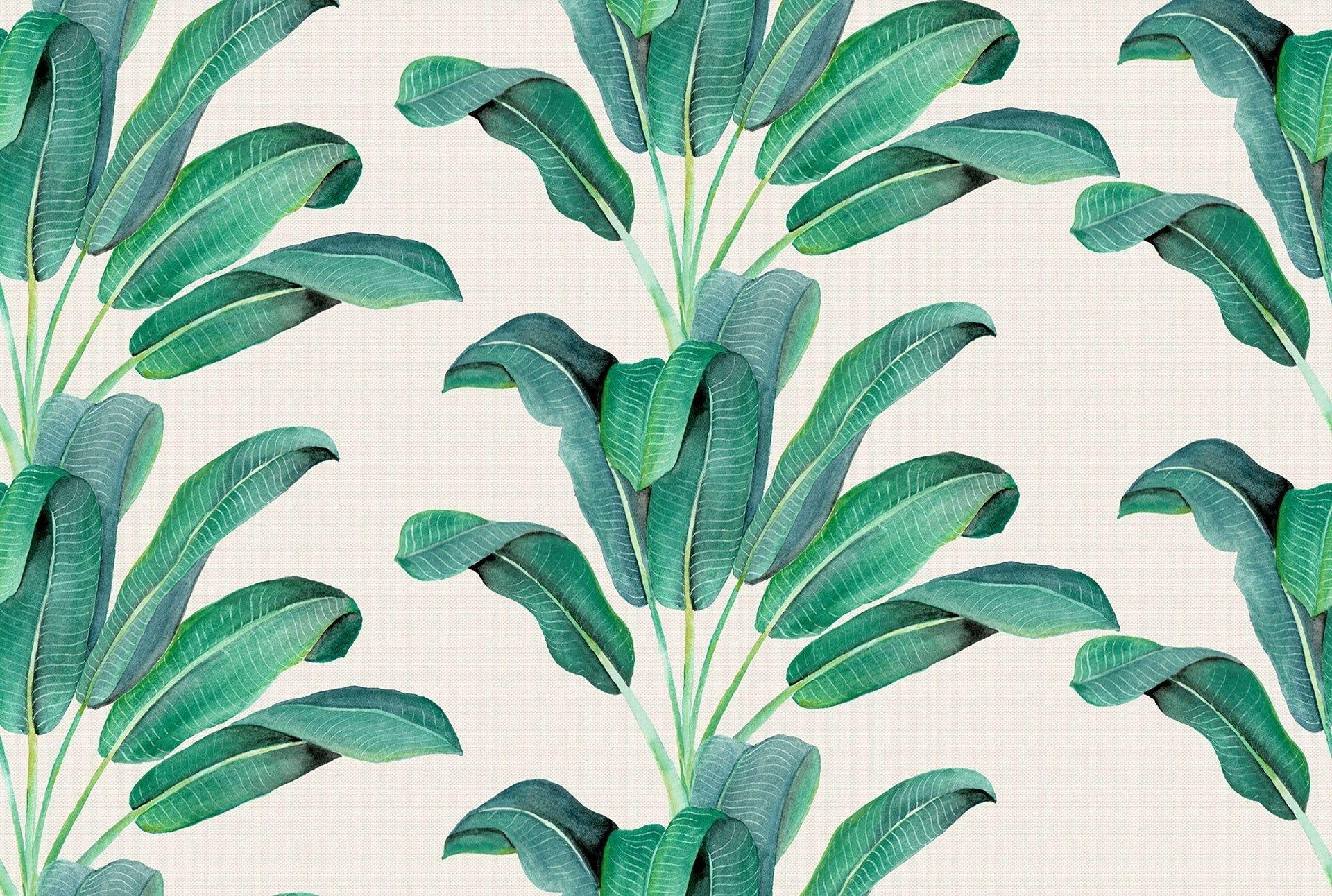 1920x1292 Banana Leaf Wallpaper Desktop