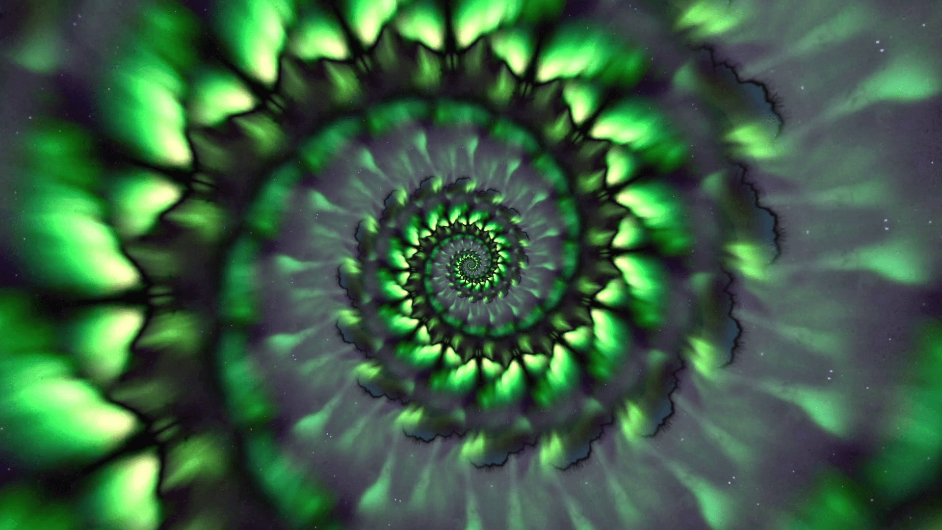 Fibonacci Spiral Wallpapers - Top Free Fibonacci Spiral Backgrounds