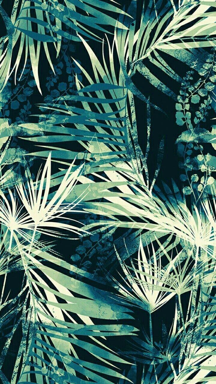 720x1280 iPhone Wallpaper. Vegetation, Plant, Tree, Leaf, Palm tree, Arecales
