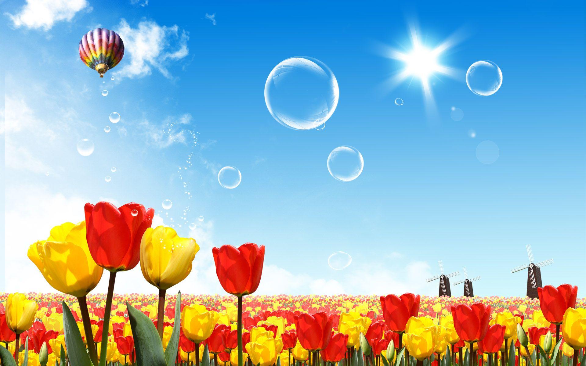 1920x1200 Download wallpaper: Sky, sun, summer, photo, Flowers, , desktop
