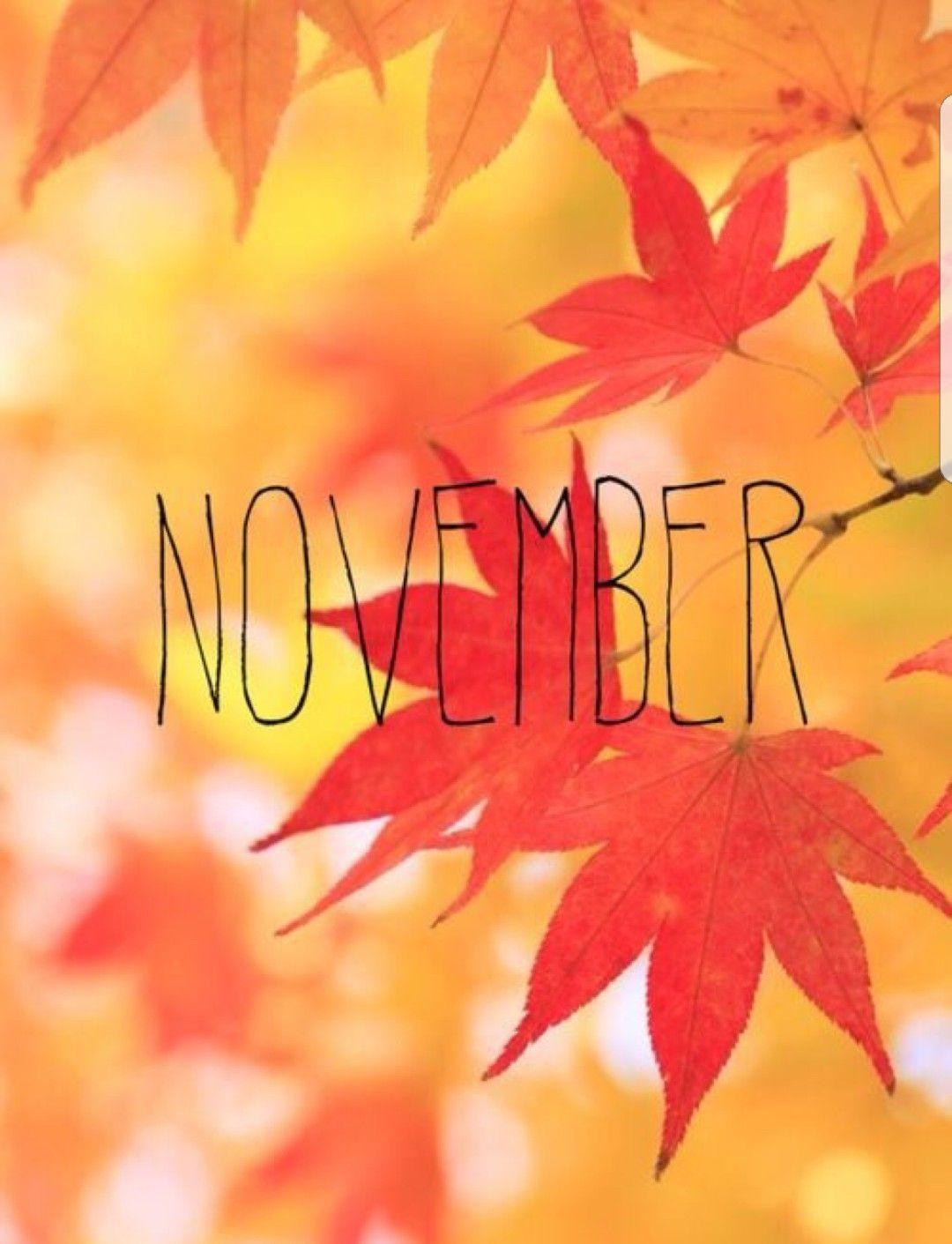 November Tumblr Wallpapers - Top Free November Tumblr Backgrounds ...