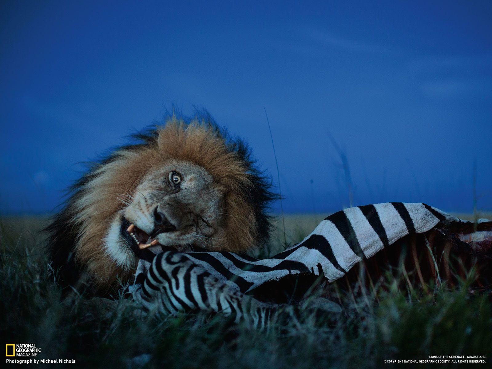 1600x1200 Free download Photography Desktop Wallpaper National Geographic