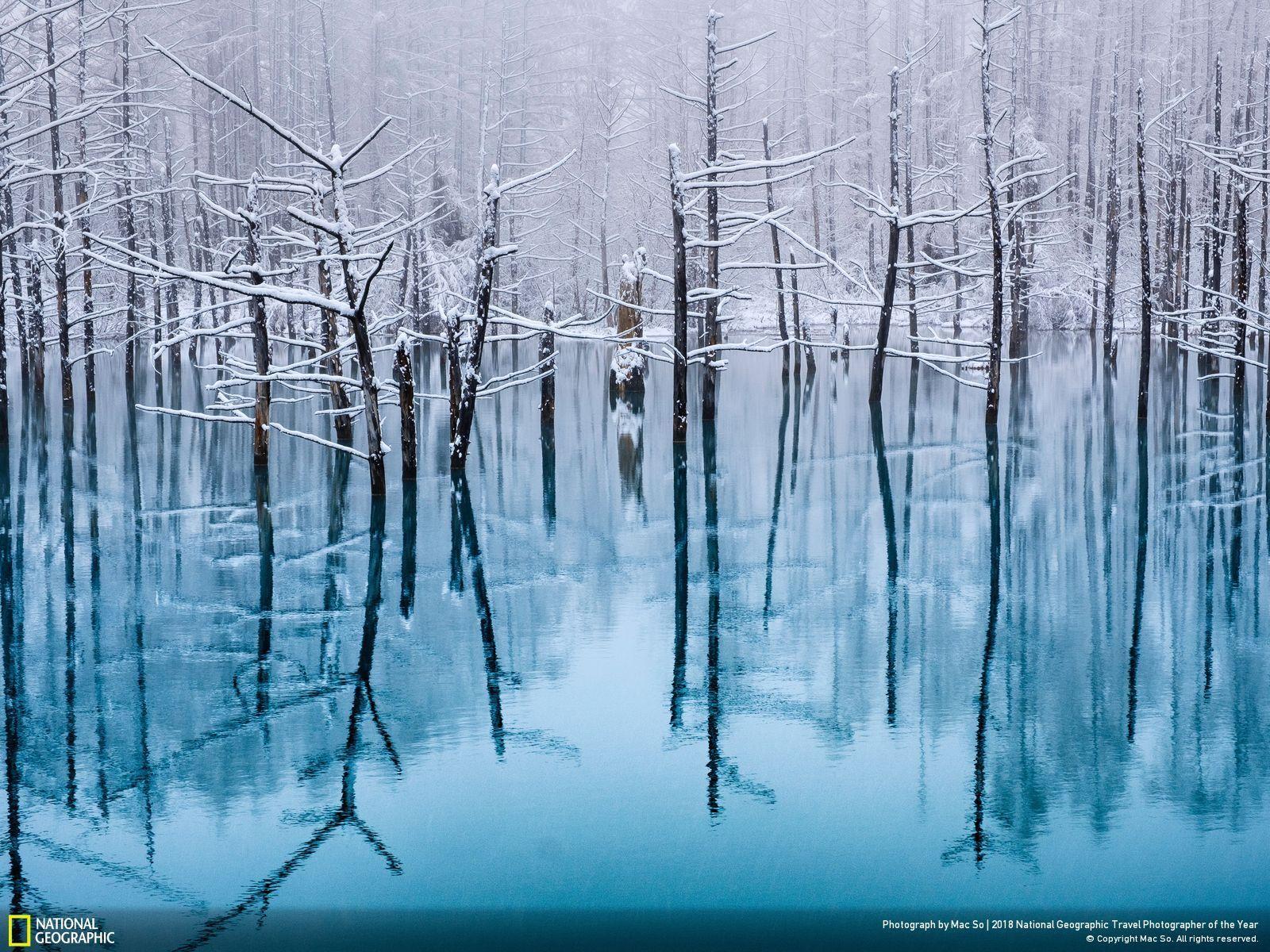 1600x1200 National Geographic Travel Photographer of the Year 2018