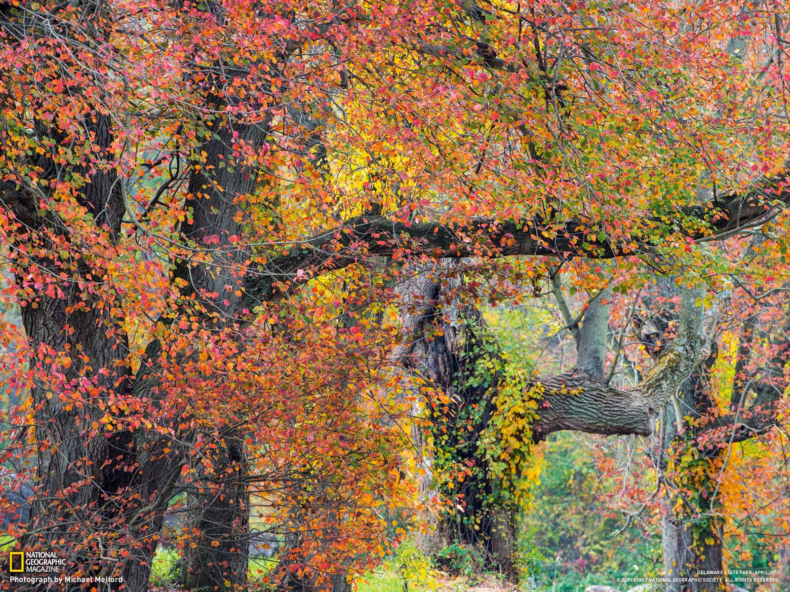 1600x1200 Photography Wallpaper Geographic Magazine