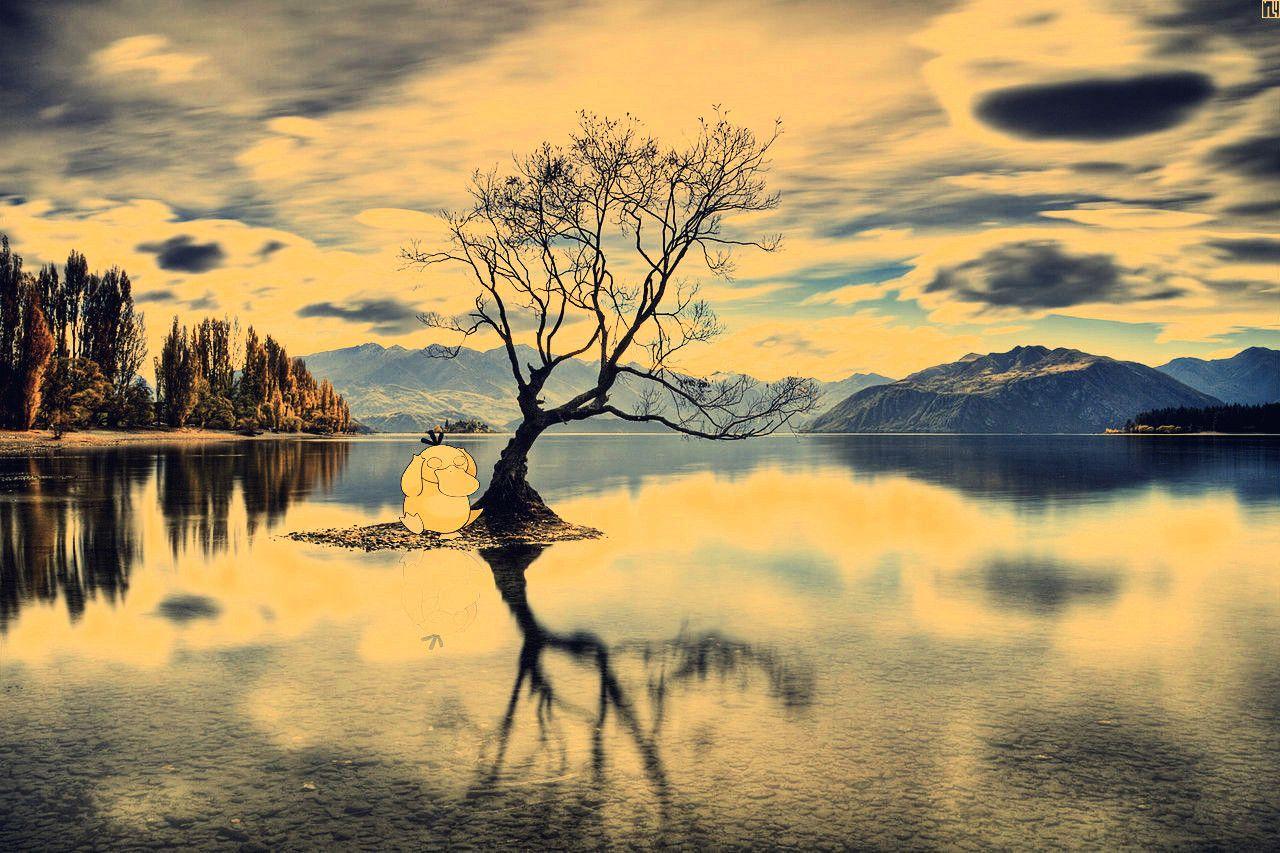 1280x853 Psyduck on a Lake HD Wallpaper Wallpaper HD