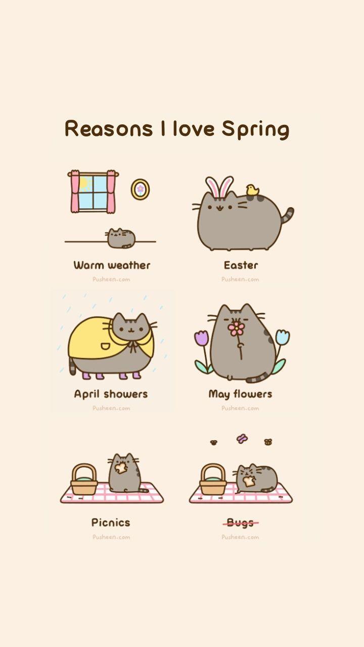 Spring Pusheen Wallpapers Top Free Spring Pusheen Backgrounds