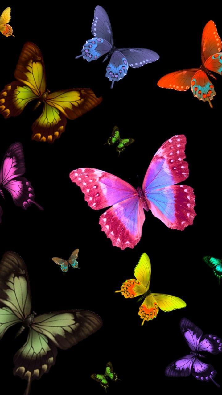 Butterfly Mobile Wallpapers - Top Free Butterfly Mobile ...
