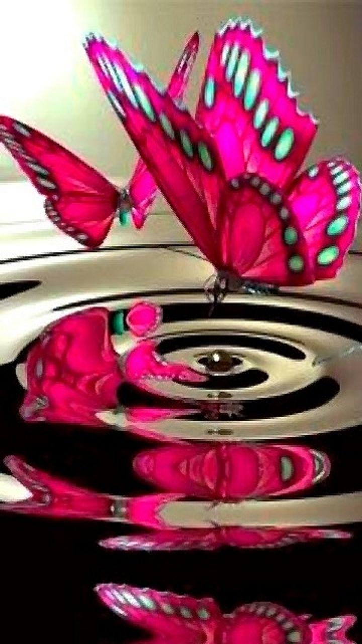 720x1280 Butterfly Wallpaper For Mobile Ch07b