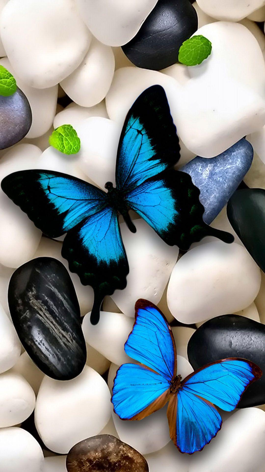 1080x1920 Butterfly Wallpaper For Mobile Ch06b