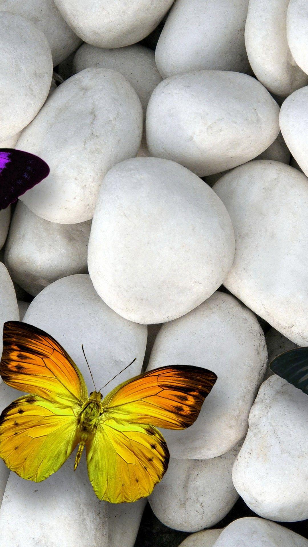 1080x1920 Mobile Wallpaper Butterfly 3D iPhone Wallpaper