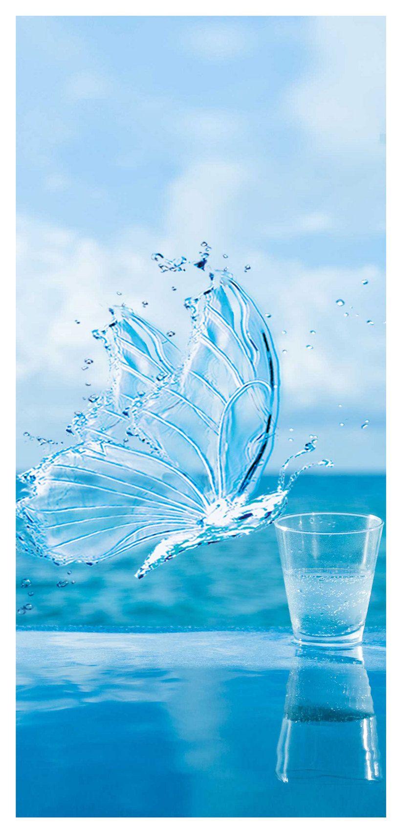 808x1692 butterfly mobile wallpaper background image free download