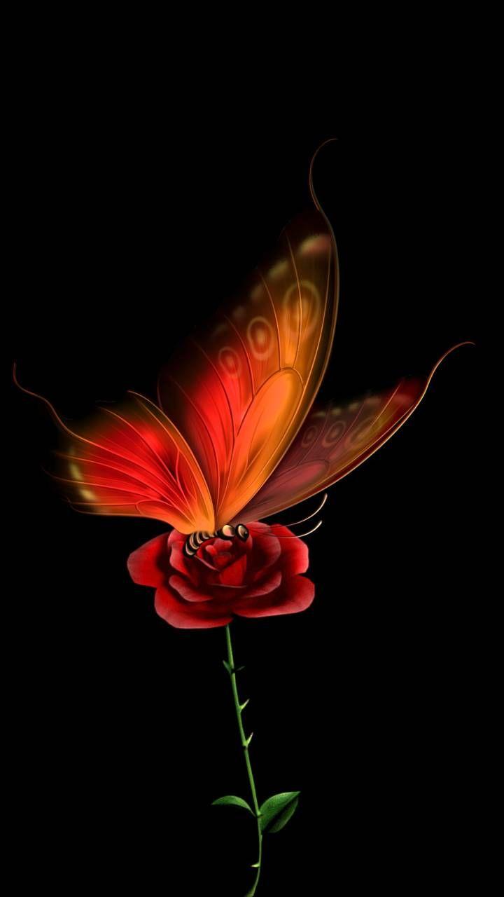 720x1280 Artistic Butterfly (720x1280) Wallpaper