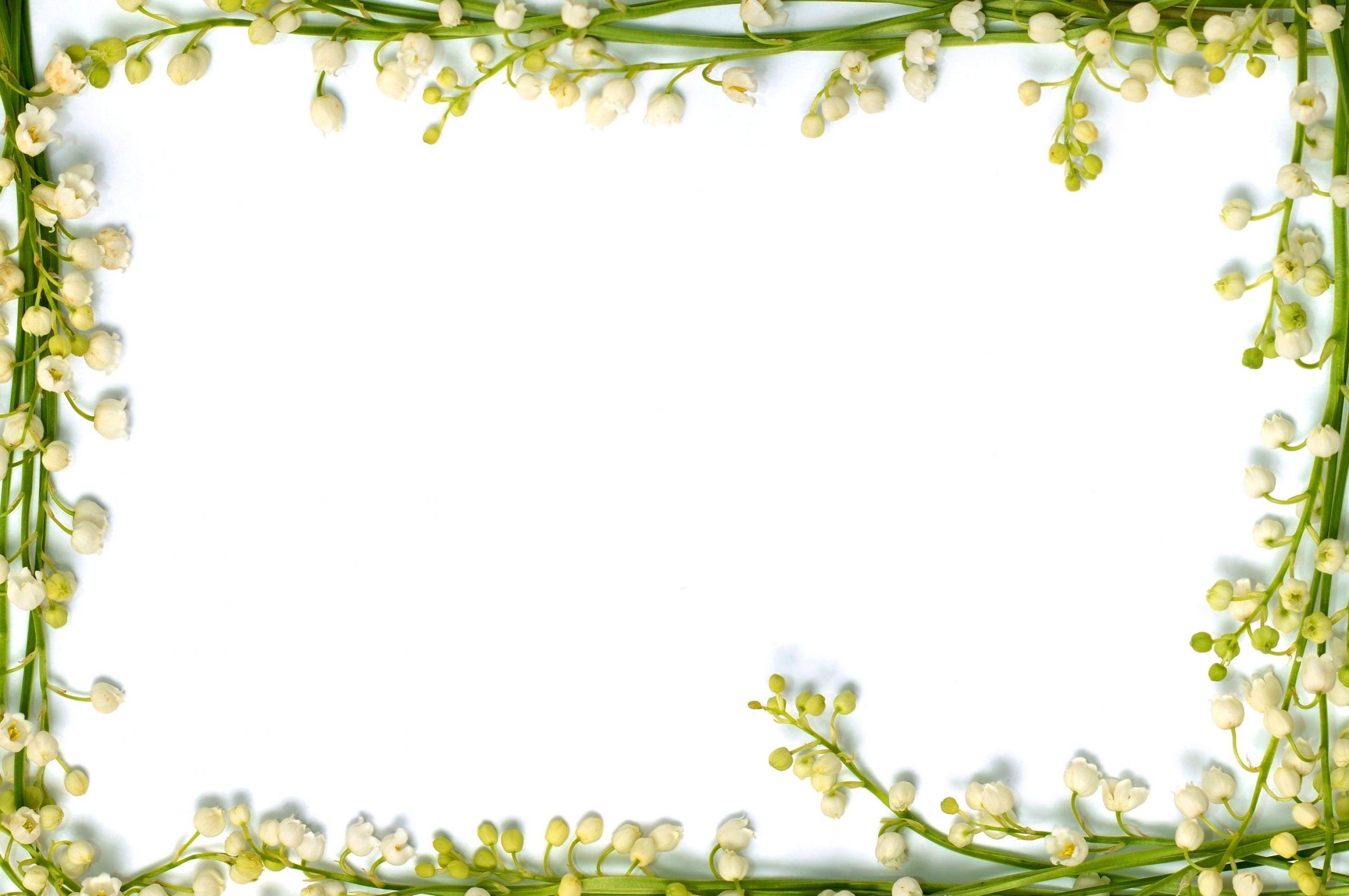 2560x1700 Free download Flower Wallpaper Border Rose Picture 2938x2014