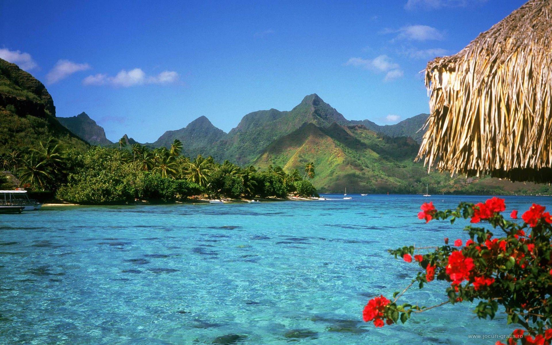 1920x1200 Bahamas wallpaperx1200