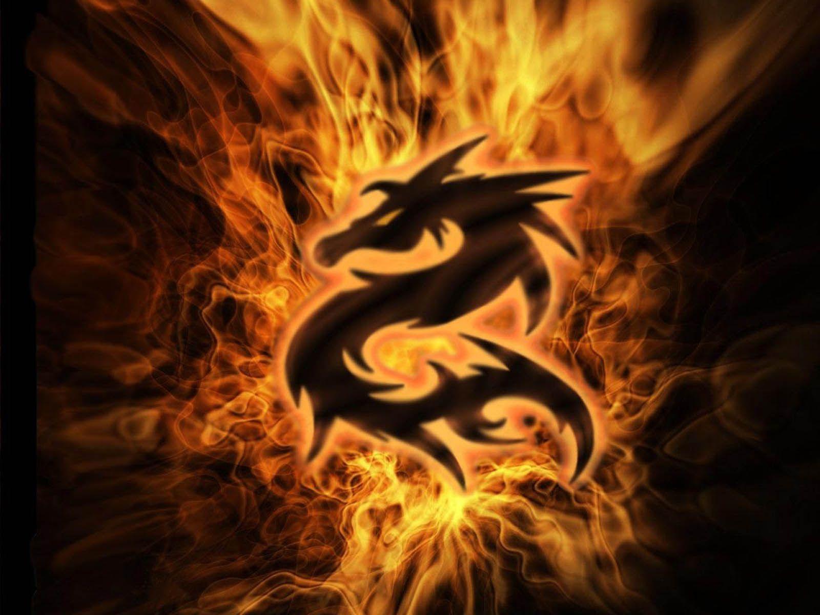 Fire Dragon HD Wallpapers - Top Free Fire Dragon HD Backgrounds -  WallpaperAccess