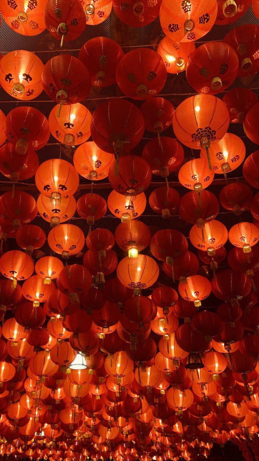 828x1472 Lunar New Year Lanterns (9x16) taken on iPhone XR #MobileWallpaper x16 #iPhone #Lanterns #Lunar #MobileWallpap. Orange wallpaper, New year wallpaper, Tree art