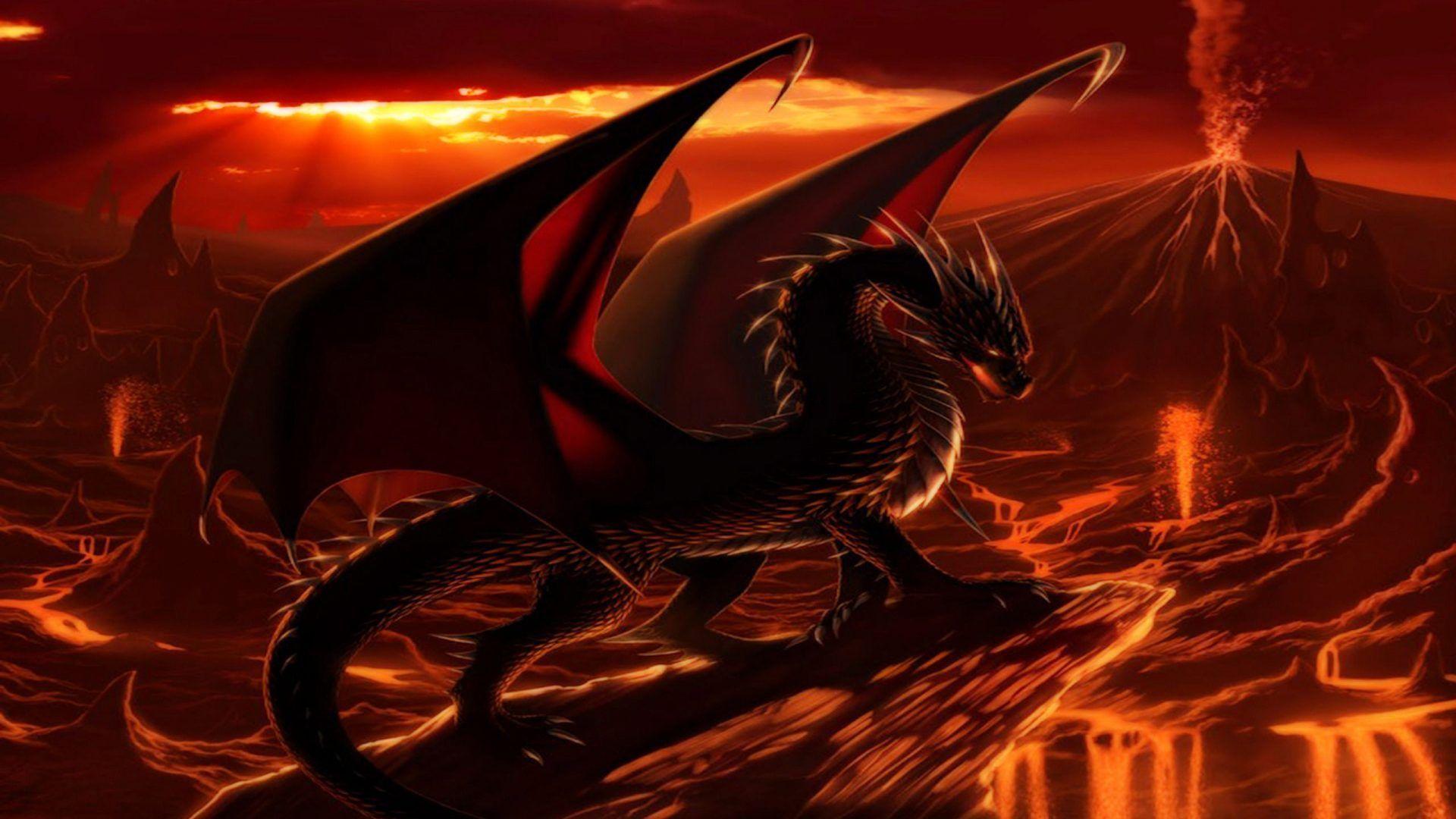 Fire Dragon Hd wallpaper by xlalitx - Download on ZEDGE™