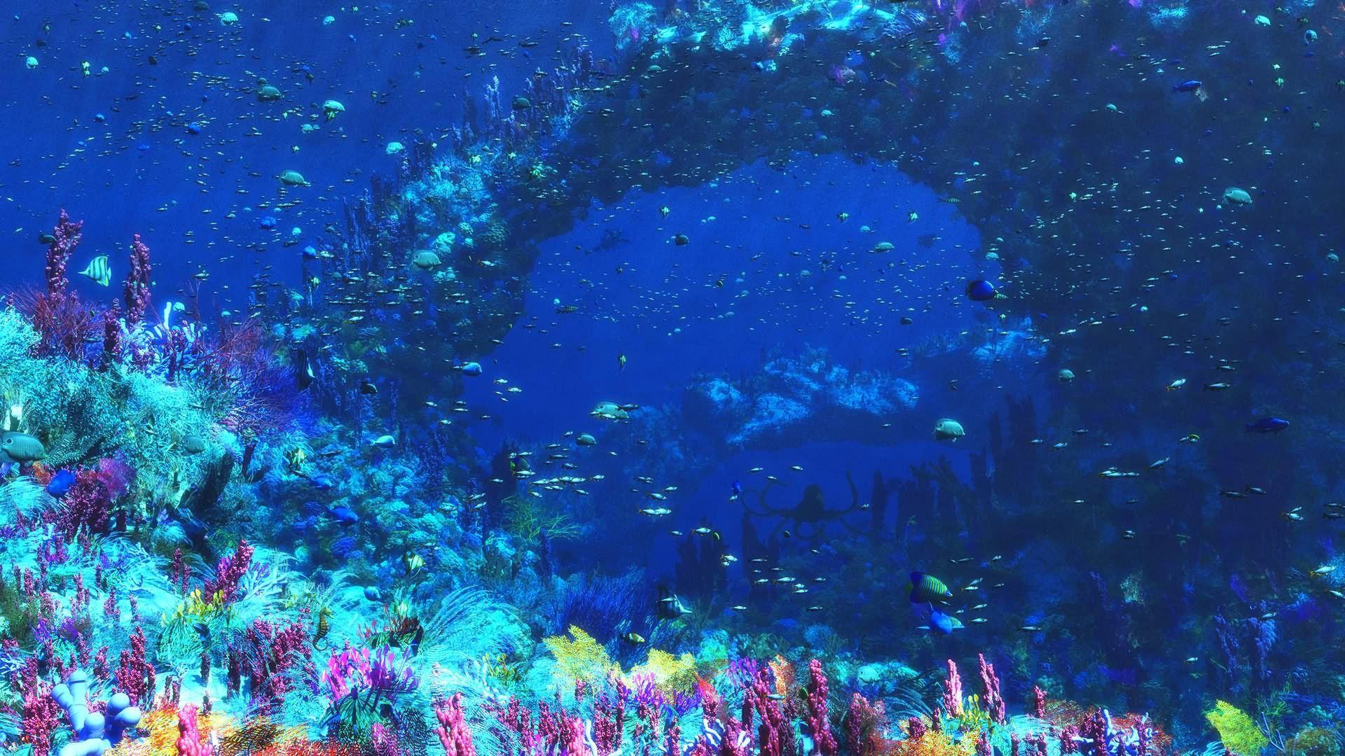 1920x1080 Under The Sea hình nền