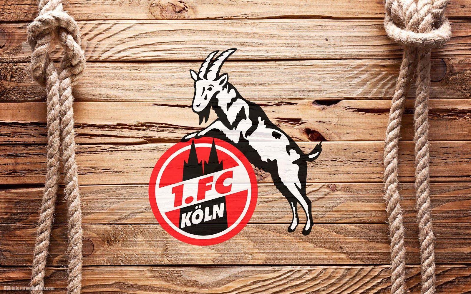 1600x1000 1. FC Köln wallpaper