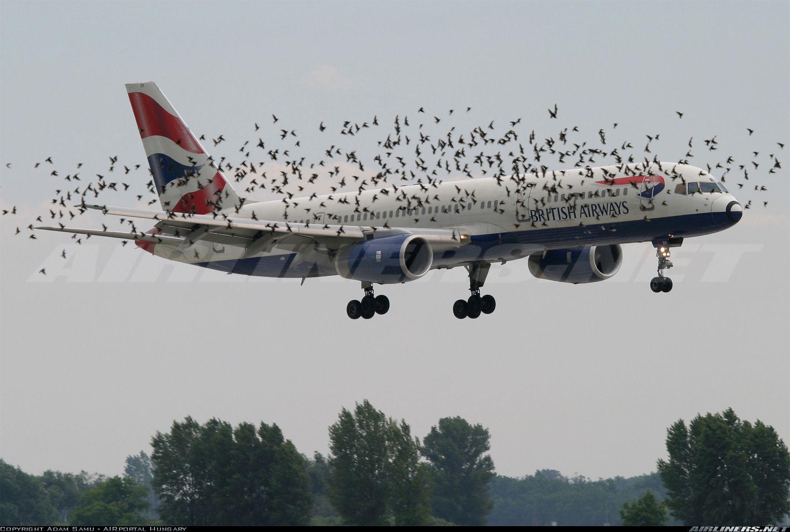 1600x1079 Boeing 757 236 Airways. Aviation Photo