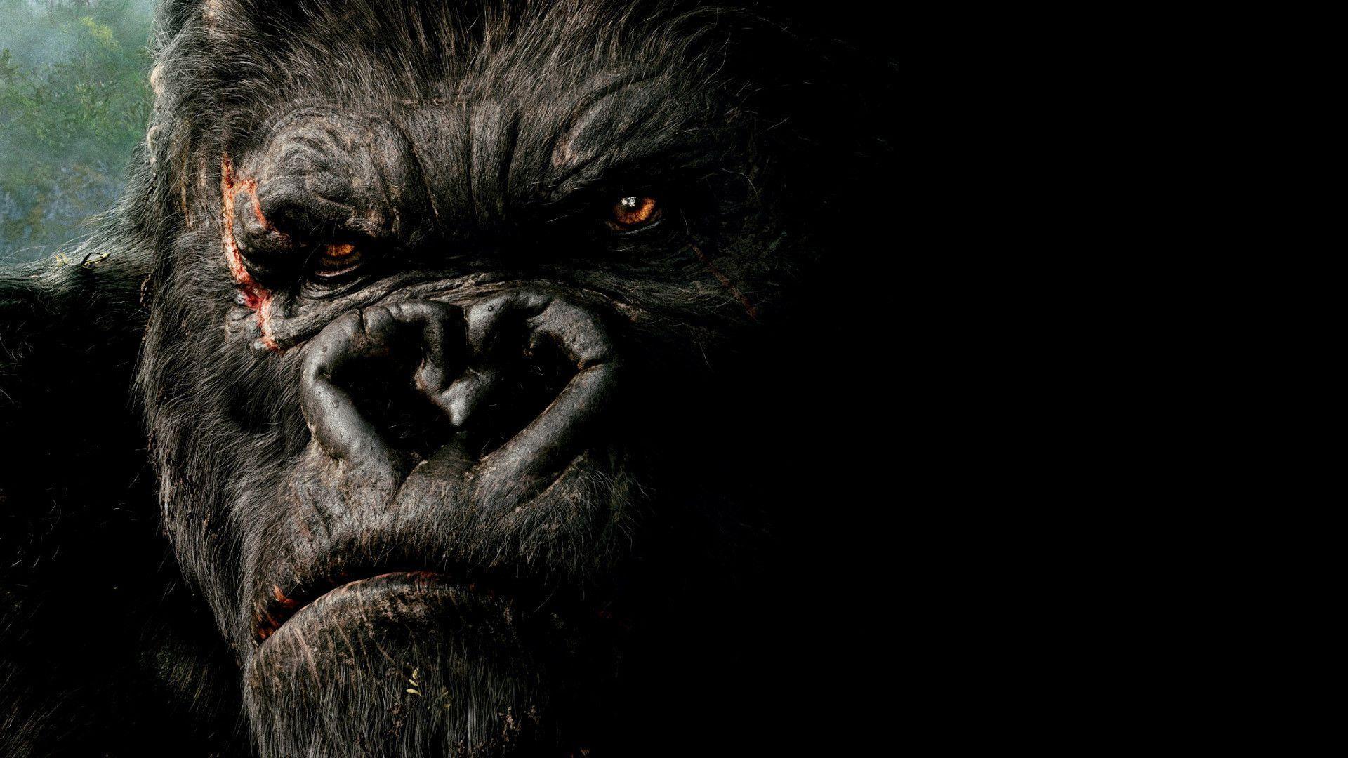1920x1080 King Kong Desktop Background. Lion King
