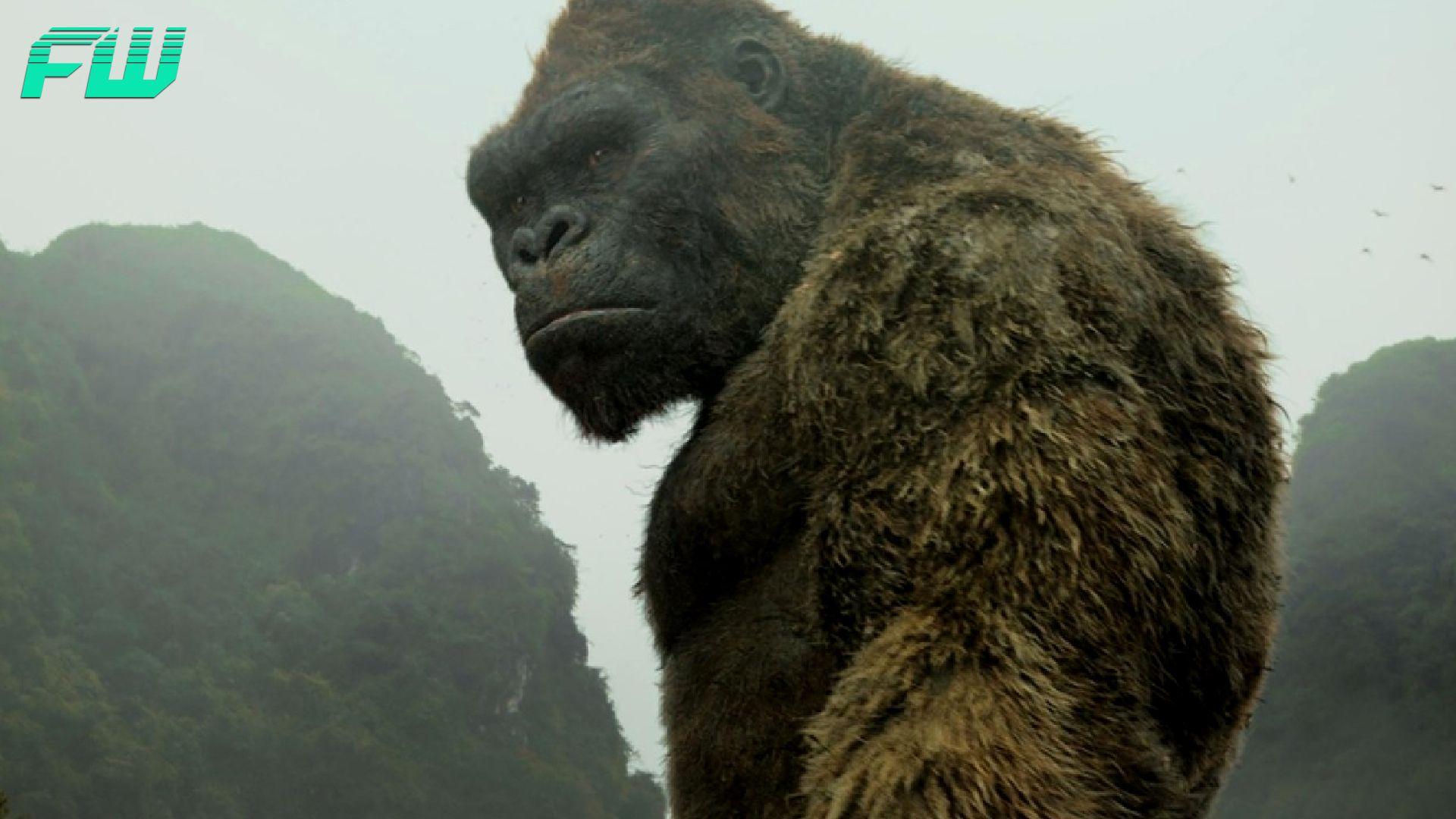 1920x1080 Kong vs. Godzilla Prequel Comic Reveals Adult King Kong