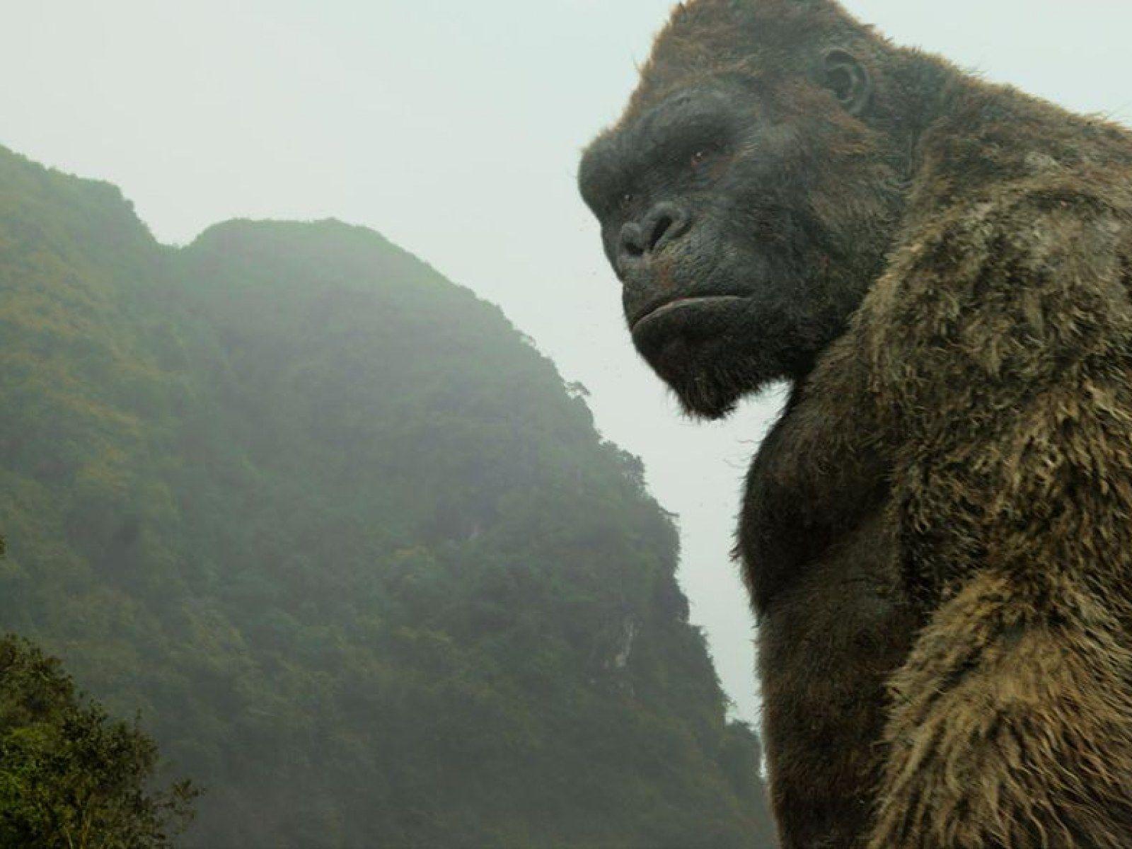 1600x1200 Godzilla vs. Kong' Leaked Footage Reveals Ape King's Growth Spurt