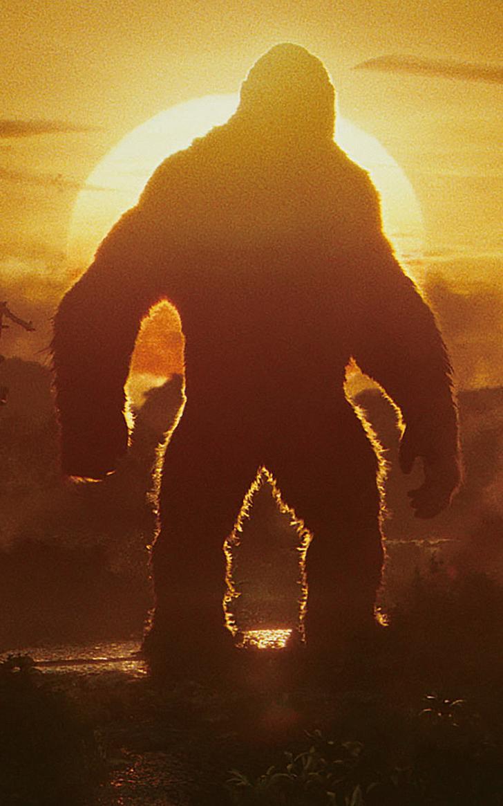 728x1165 Mobile Wallpaper 122 Movie of the Week: Kong: Skull Island {10