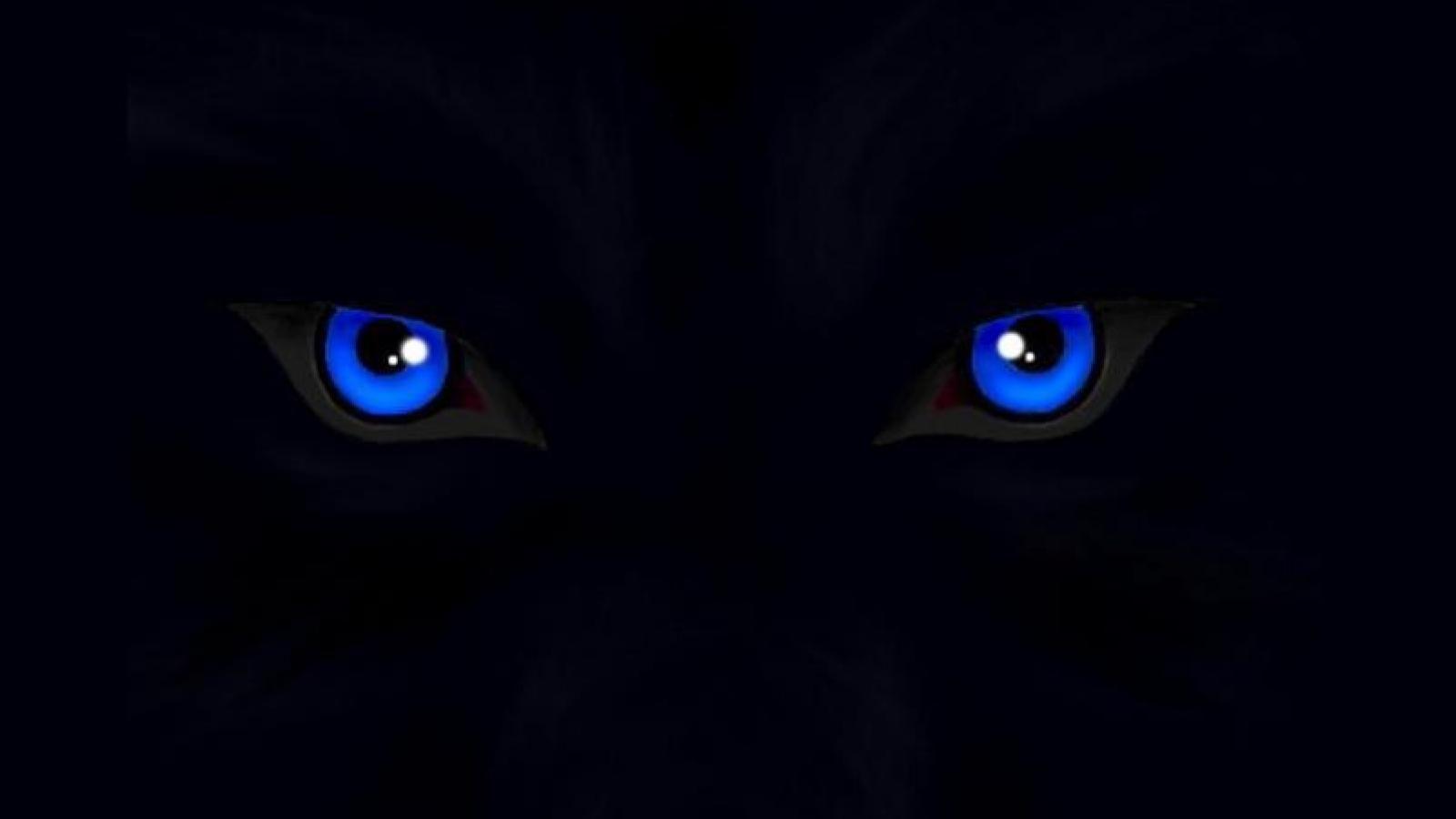 1600x900 Free download Wolf Eyes Wallpaper Widescreen Good Galleries [1600x900] for your Desktop, Mobile & Tablet. Explore Wallpaper Good for Eyes. Beautiful Eyes Wallpaper, Sharingan Eyes Wallpaper, Snake Eyes Wallpaper