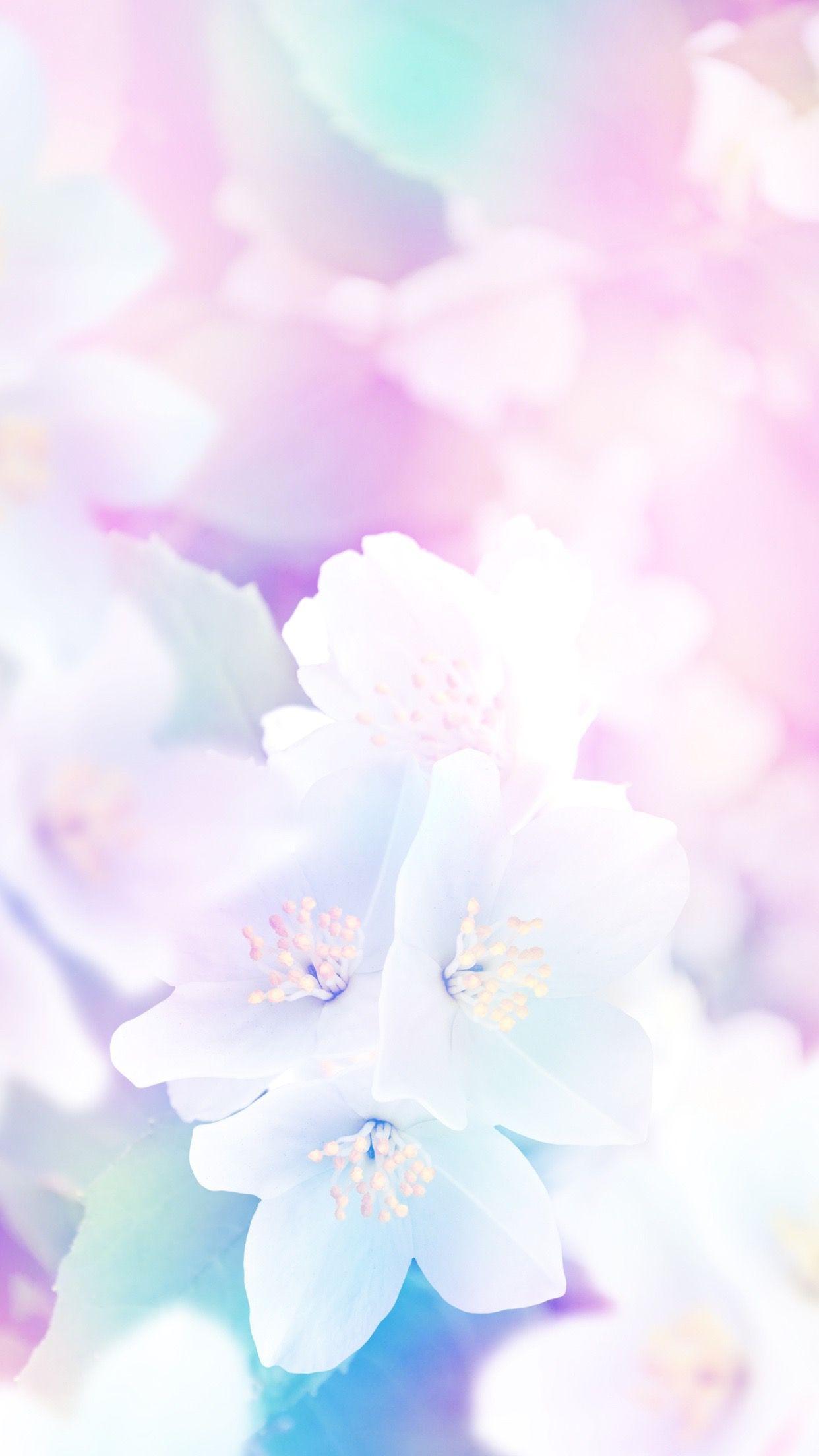 Pastel Flowers butterfly colourful floral flower girly pink pretty  HD phone wallpaper  Peakpx