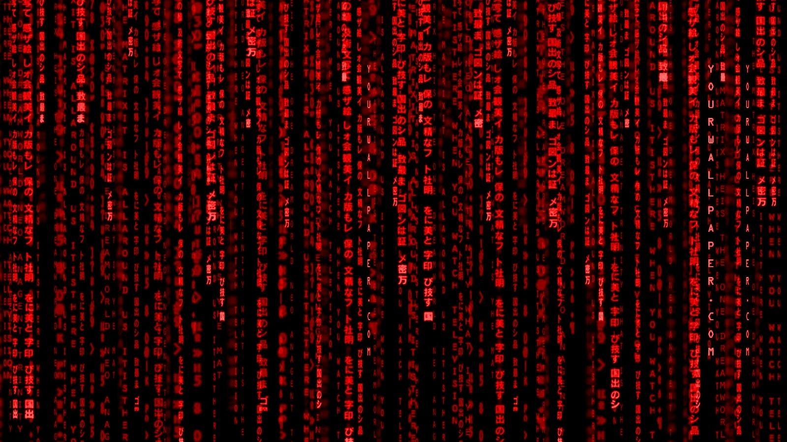 1600x900 Free download Download Red Matrix Wallpaper 1600x1200 Wallpoper
