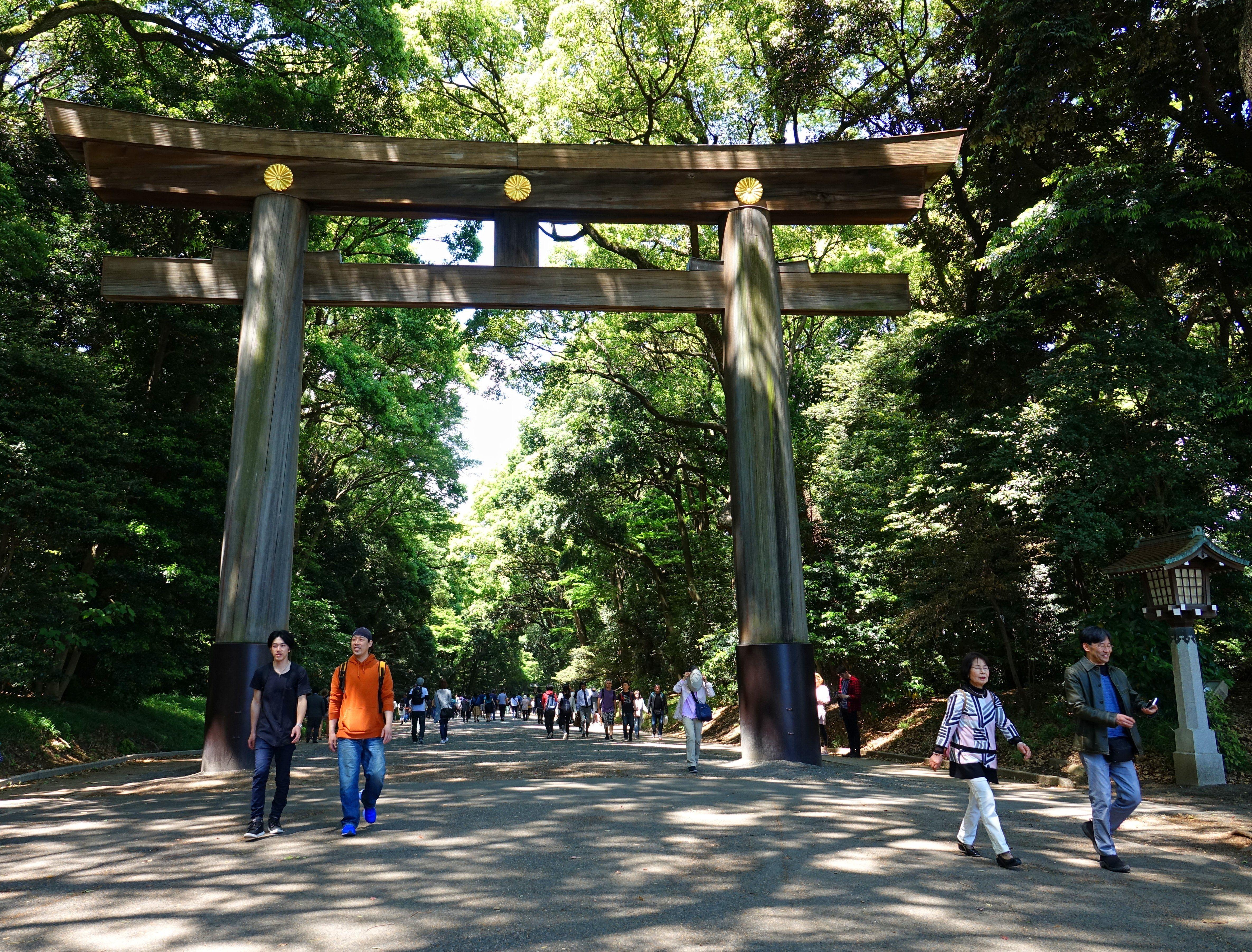 4742x3607 Meiji Shrine