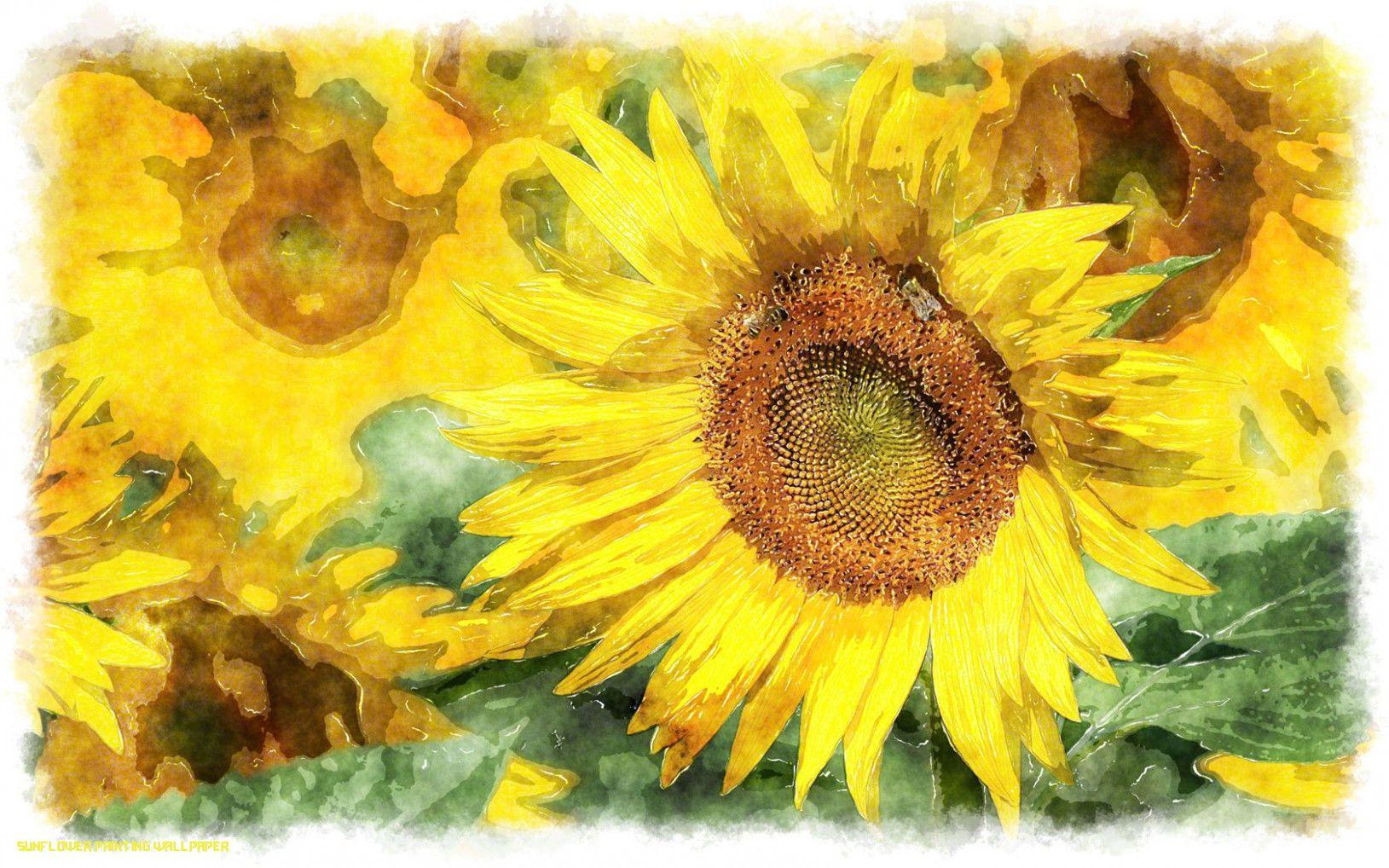 Sunflower Watercolor Wallpapers Top Free Sunflower Watercolor Backgrounds Wallpaperaccess 4573