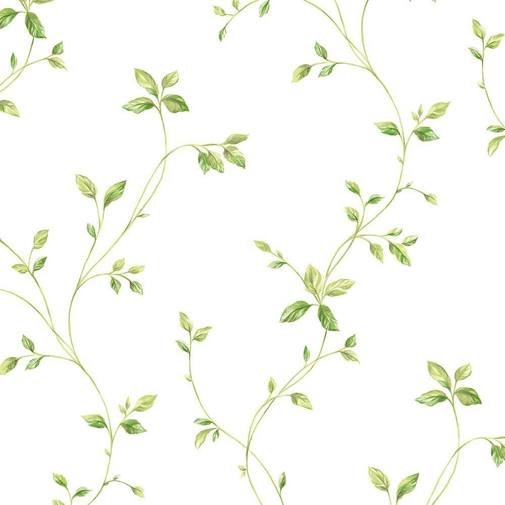 1000x1000 Leaves Wallpaper