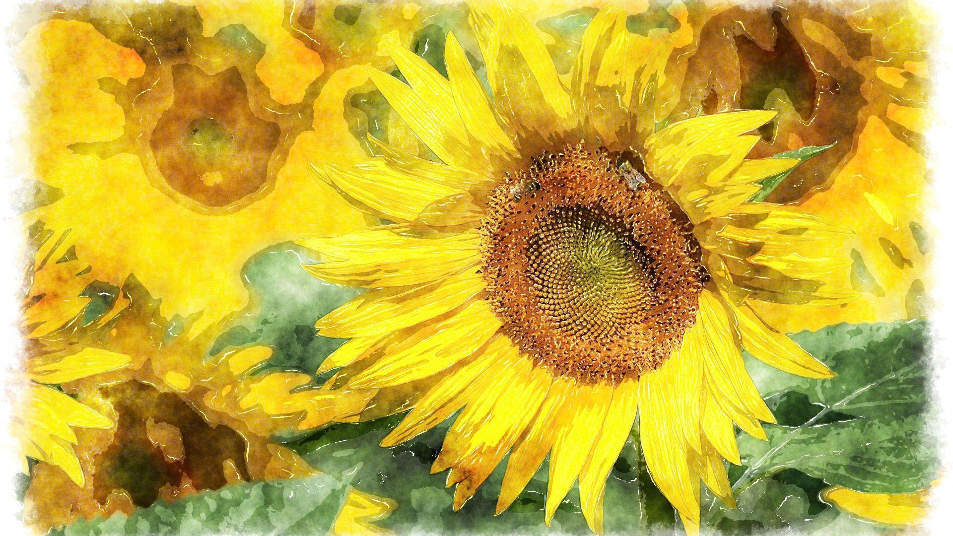 1920x1080 Sunflowers, Watercolor Painting 640x1136 IPhone 5 5S 5C SE