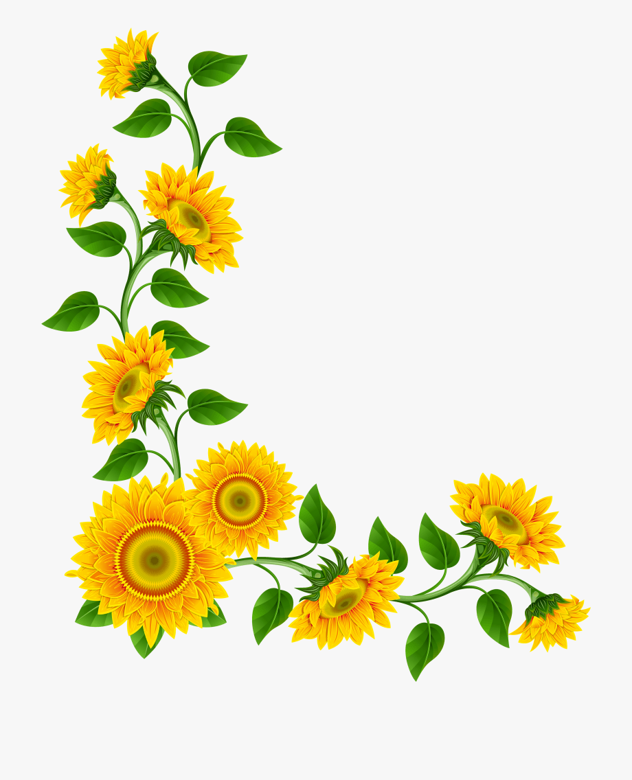 920x1136 Free Sunflower Background Clipart, Download Free Clip Art, Free