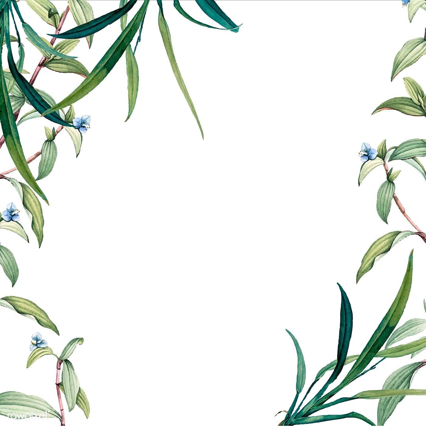 1400x1400 Download premium vector of Green botanical leaves background