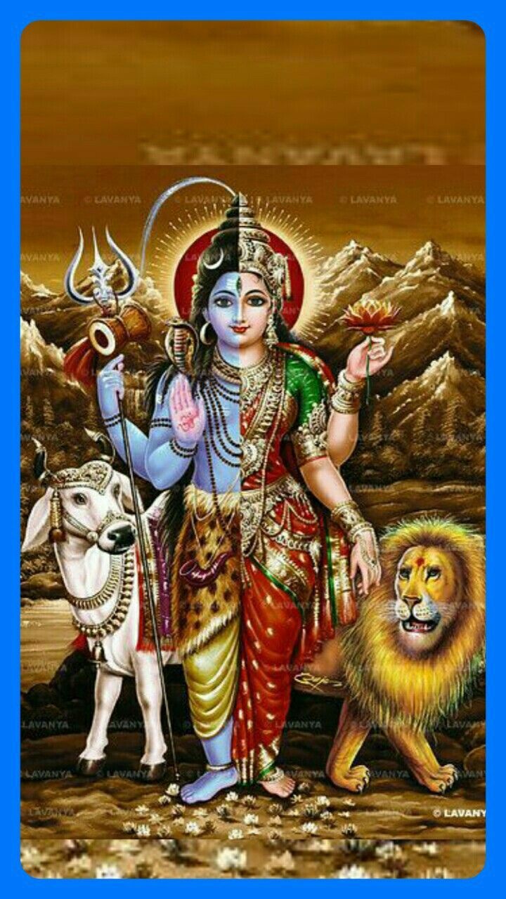 720x1280 Shiv durga wallpaper. Ardhanareshwar HD wallpaper, Deities, God illustrations