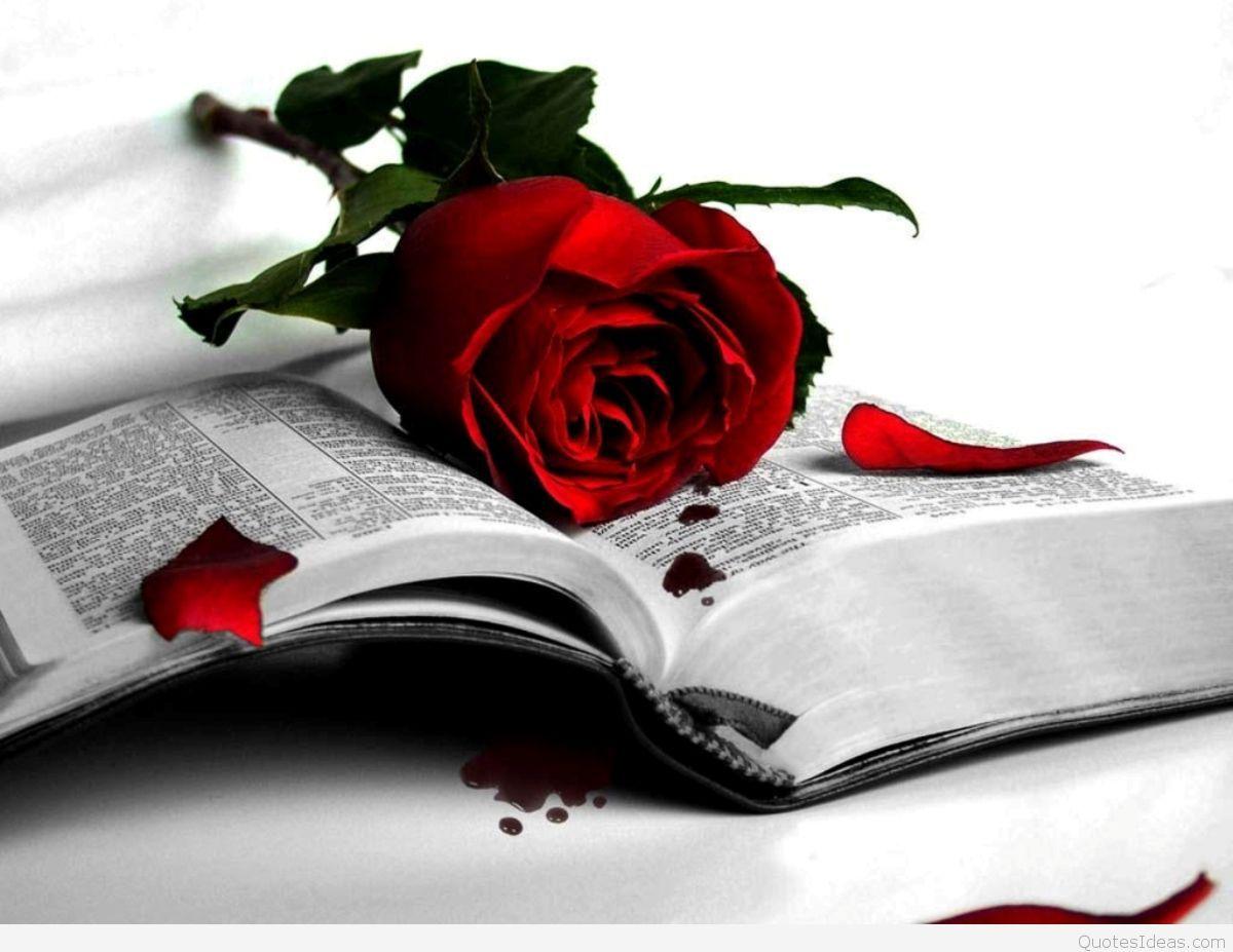 1200x927 Broken Heart HD Wallpaper