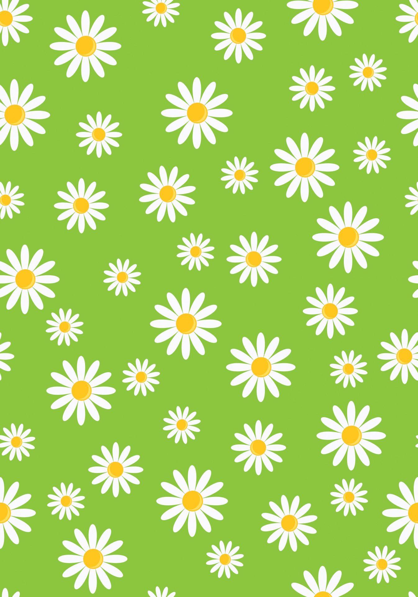 Simple Daisy Wallpapers Top Free Simple Daisy Backgrounds