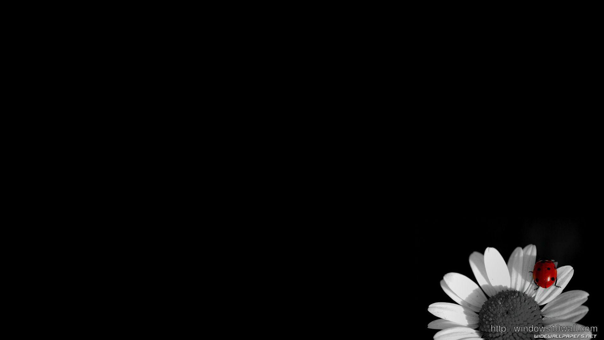 1920x1080 simple and sober black backgorund