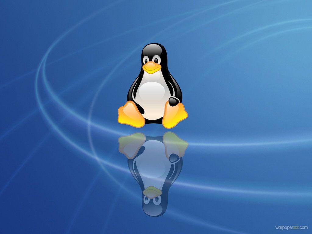 Linux Tux Wallpapers - Top Free Linux Tux Backgrounds - WallpaperAccess