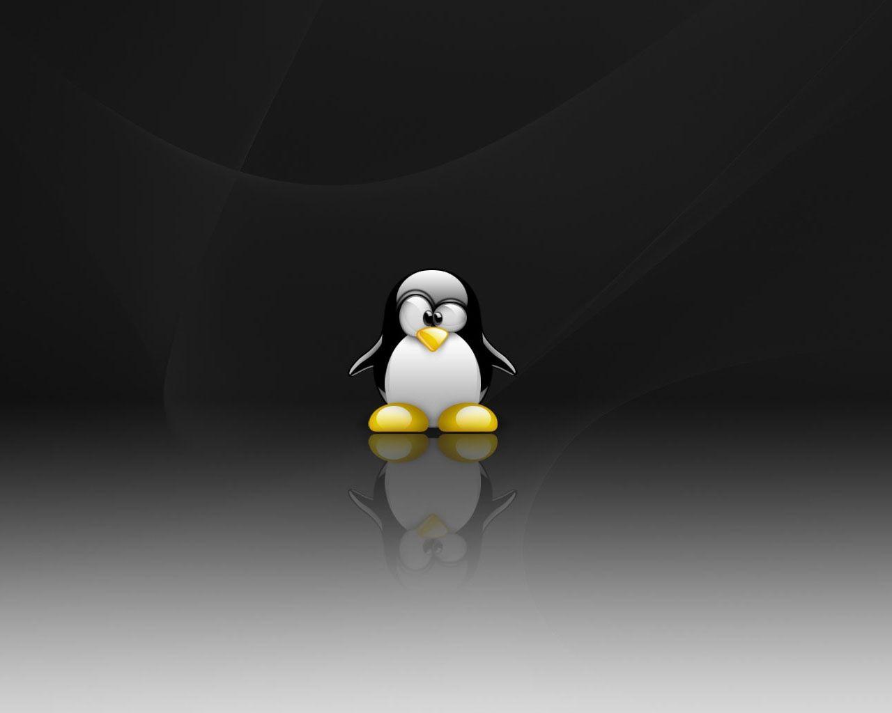 linux tux wallpaper linux tux wallpaper