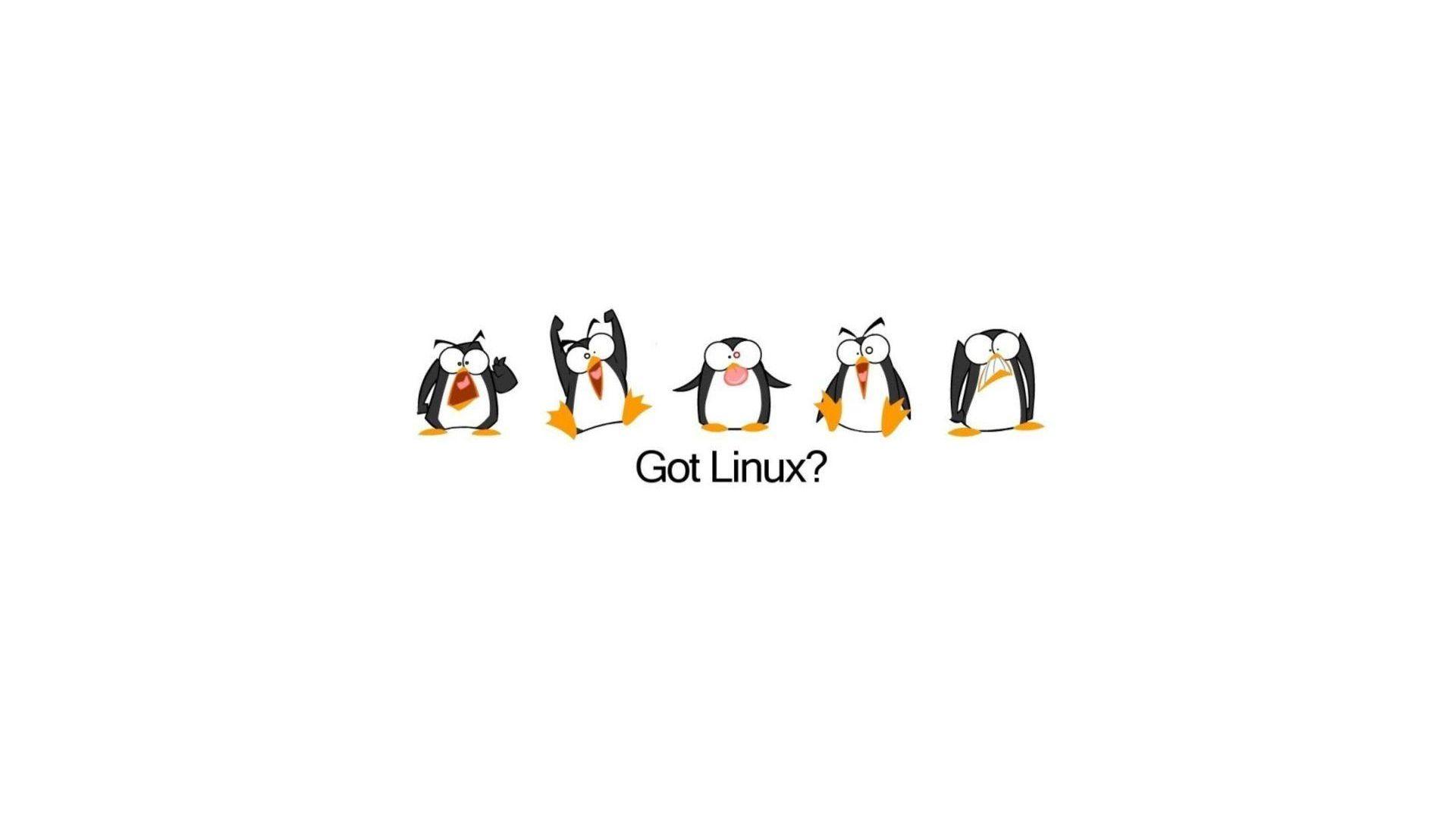 1920x1080 Got Linux Tux HD Wallpaper