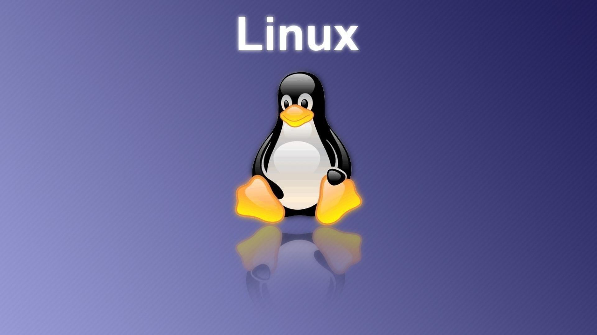 Linux Penguin Wallpapers - Top Free Linux Penguin Backgrounds ...